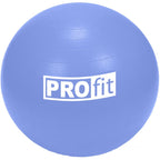 PROfit DK2102 tornalabda pumpával, 85 cm. PVC anyag. 1. gyári termékfotó.