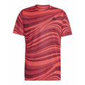 adidas Club Graph JE0407 férfi teniszpóló – termékfotó 1
